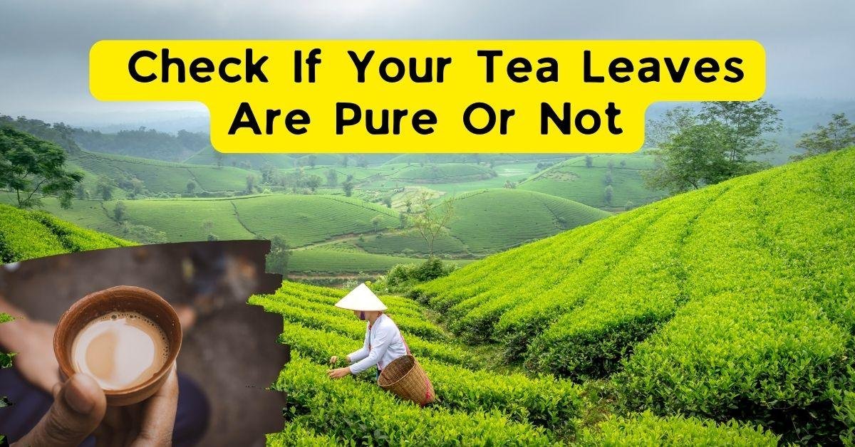 7 Easy Ways To Check If Your Tea Leaves Are Pure Or Not